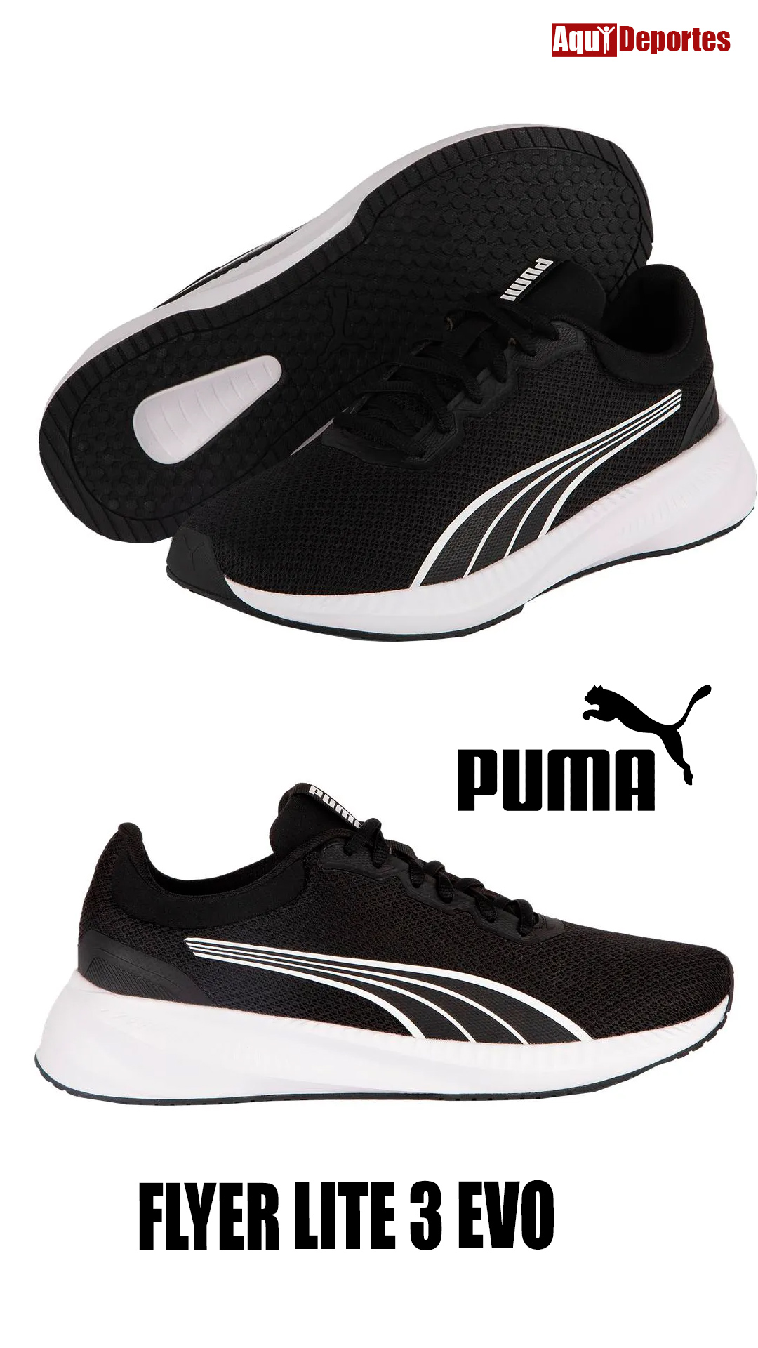 FLYER LITE 3 EVO