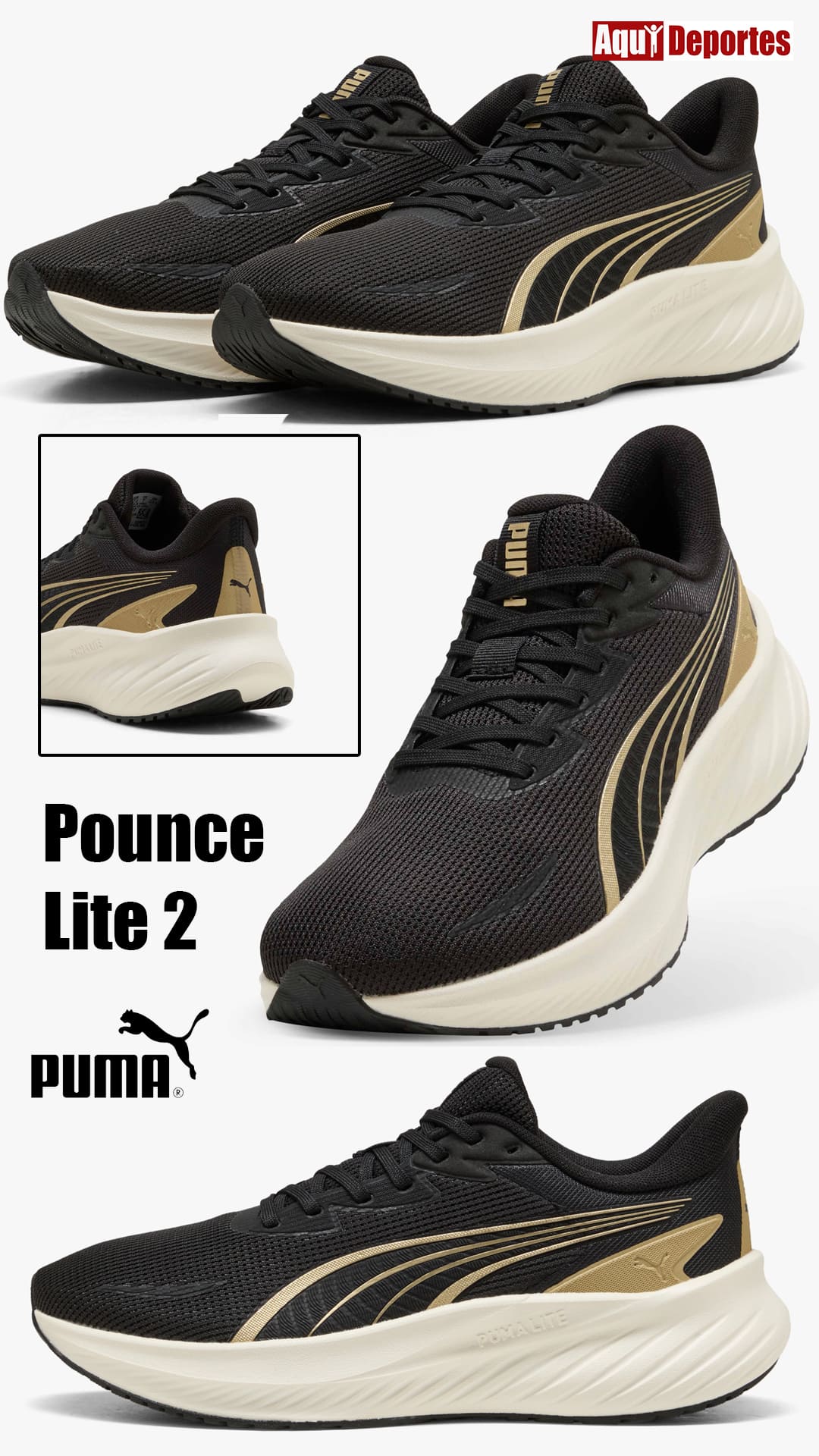 POUNCE LITE 2