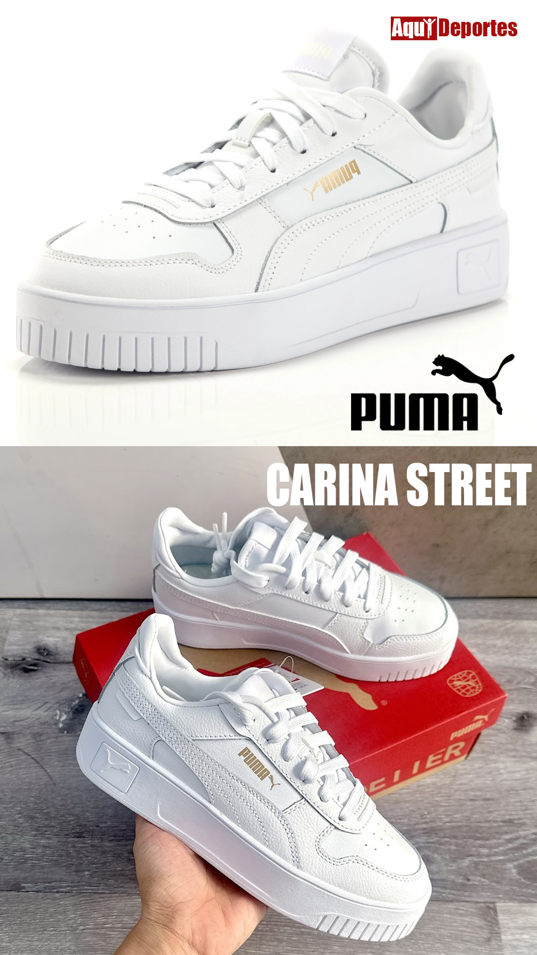 CARINA STREET