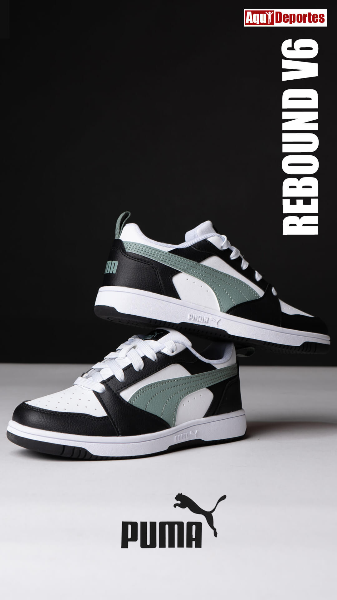 REBOUND V6