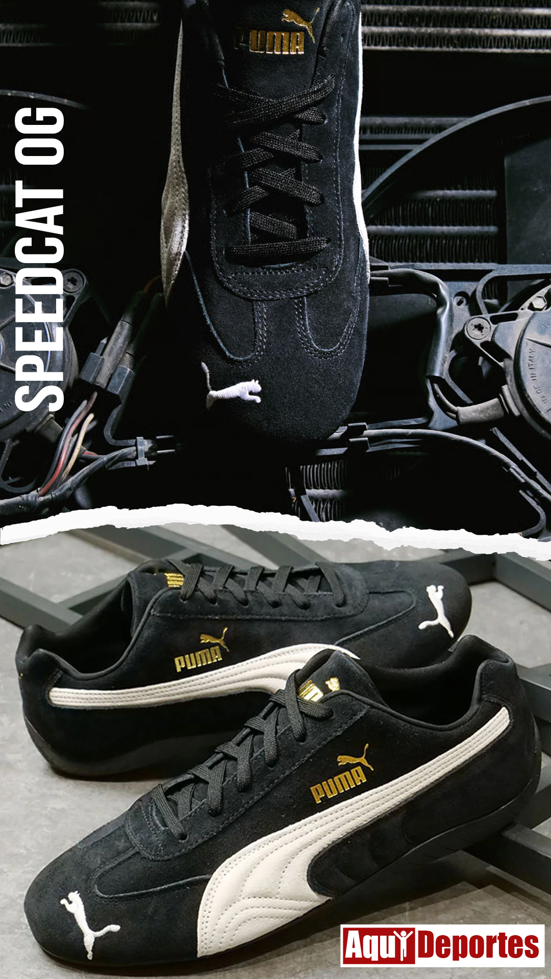 SPEEDCAT OG
