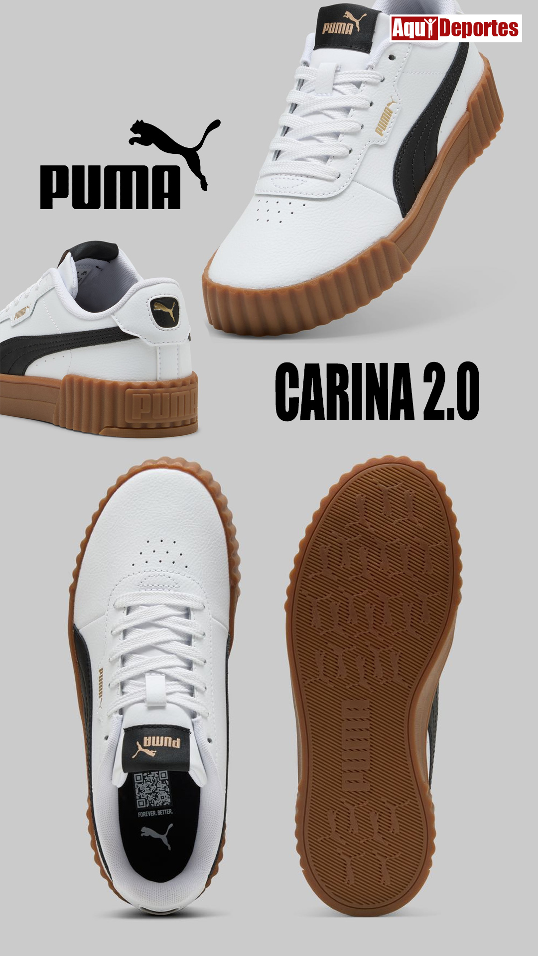 CARINA 3.0