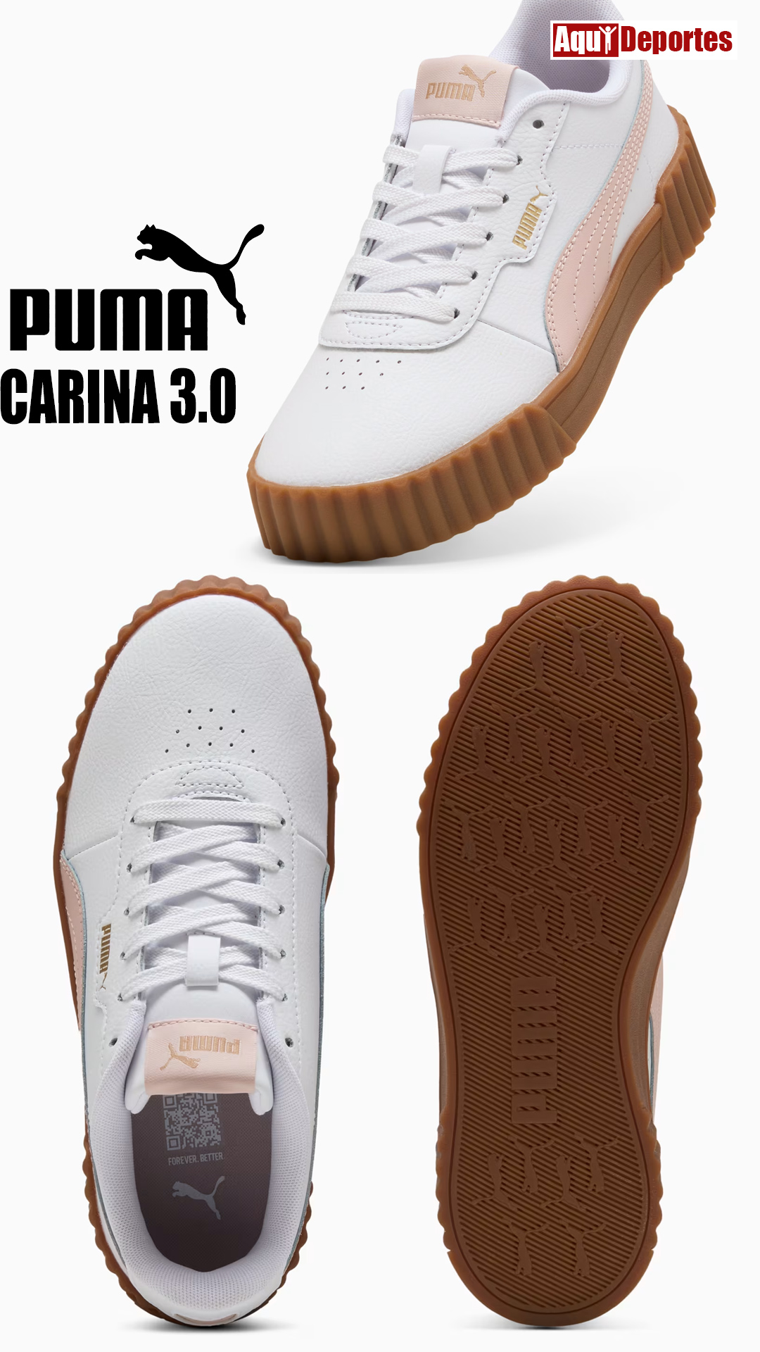CARINA 3.0