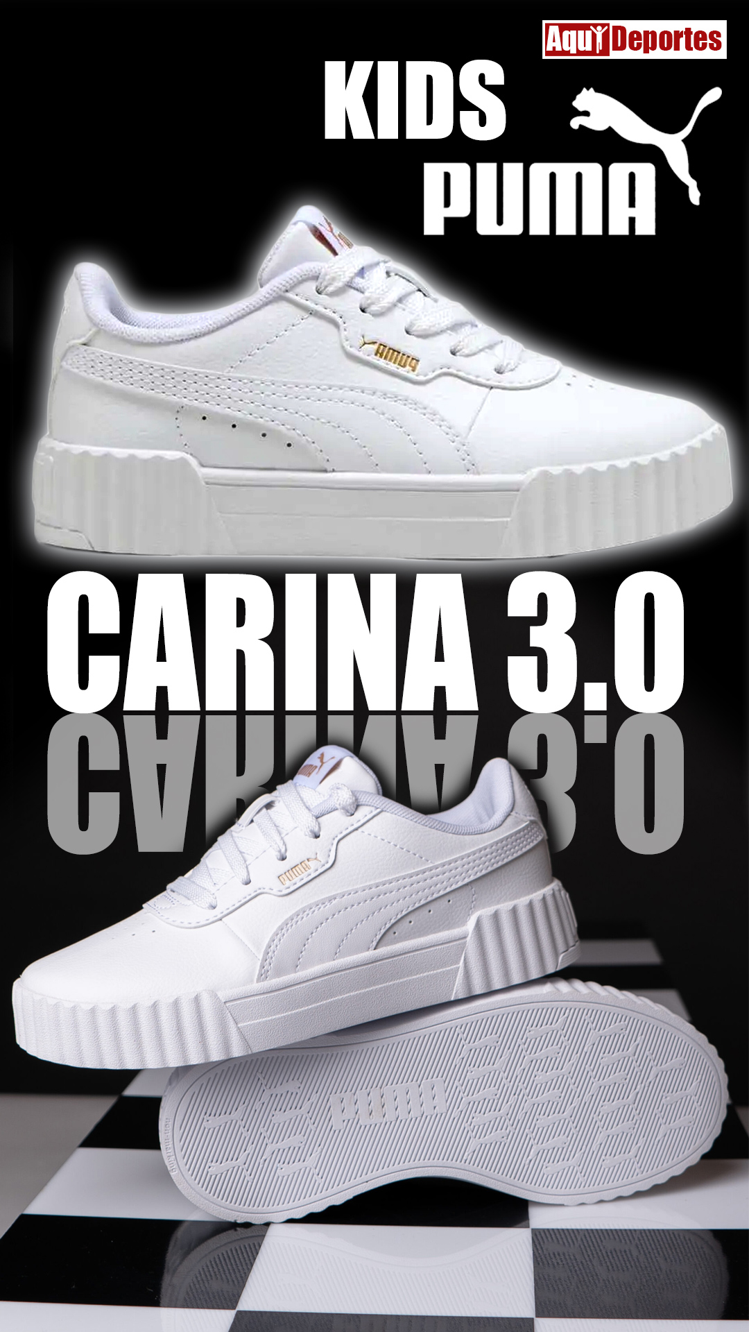 CARINA 3,0 PS