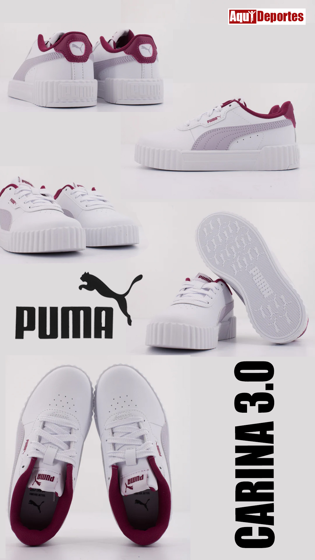 CARINA 3.0