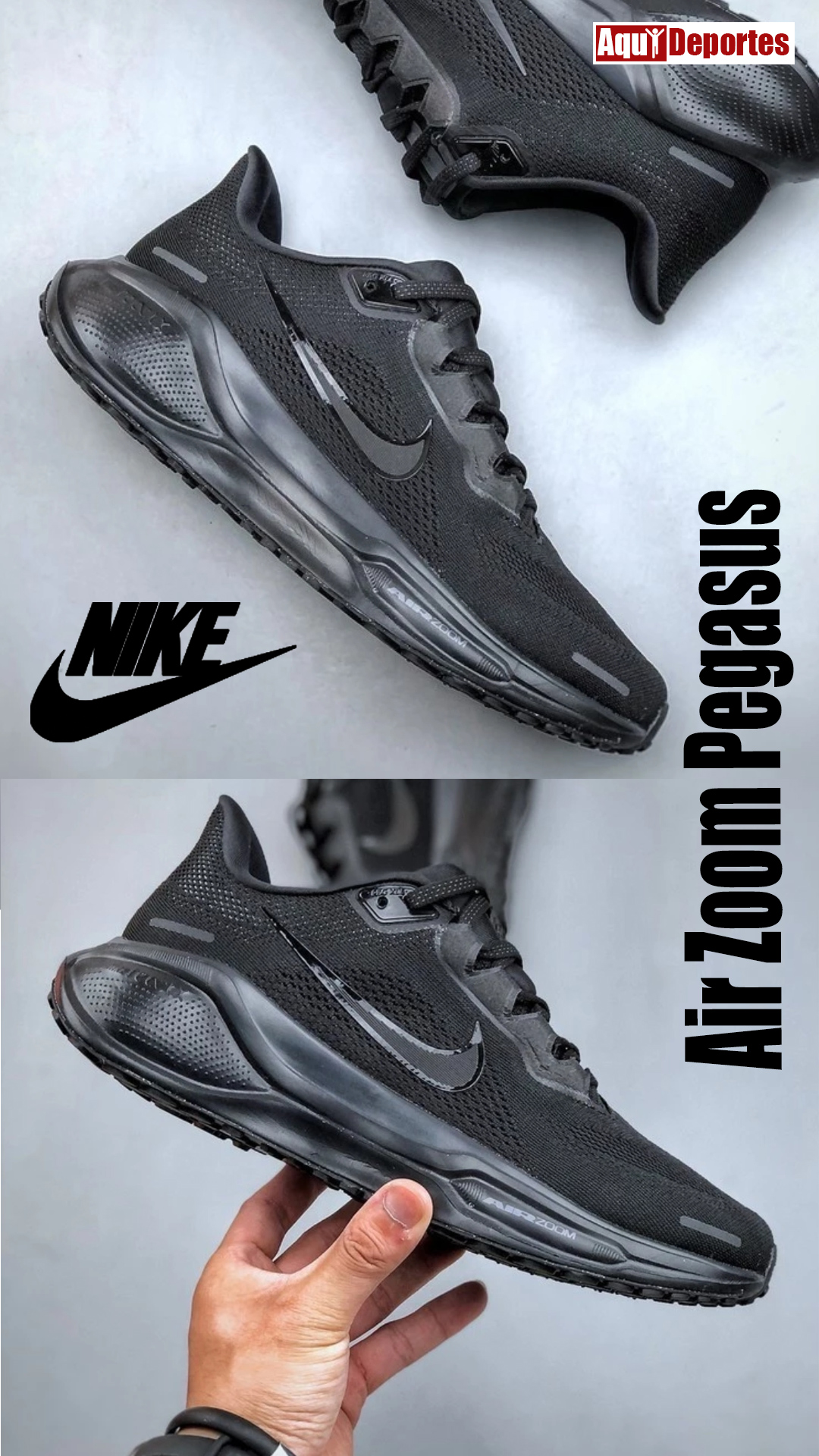 ZOOM PEGASUS 41