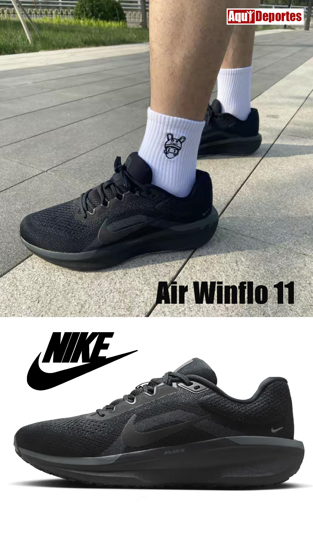 WINFLO 11