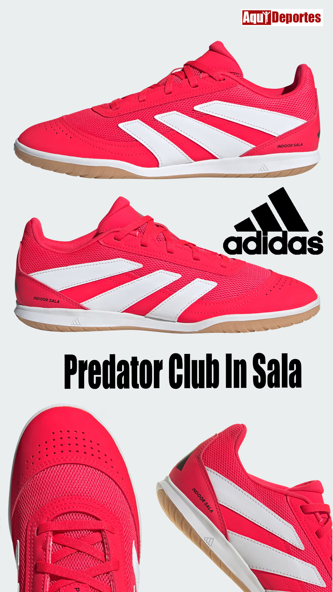 PREDATOR CLUB IN SALA