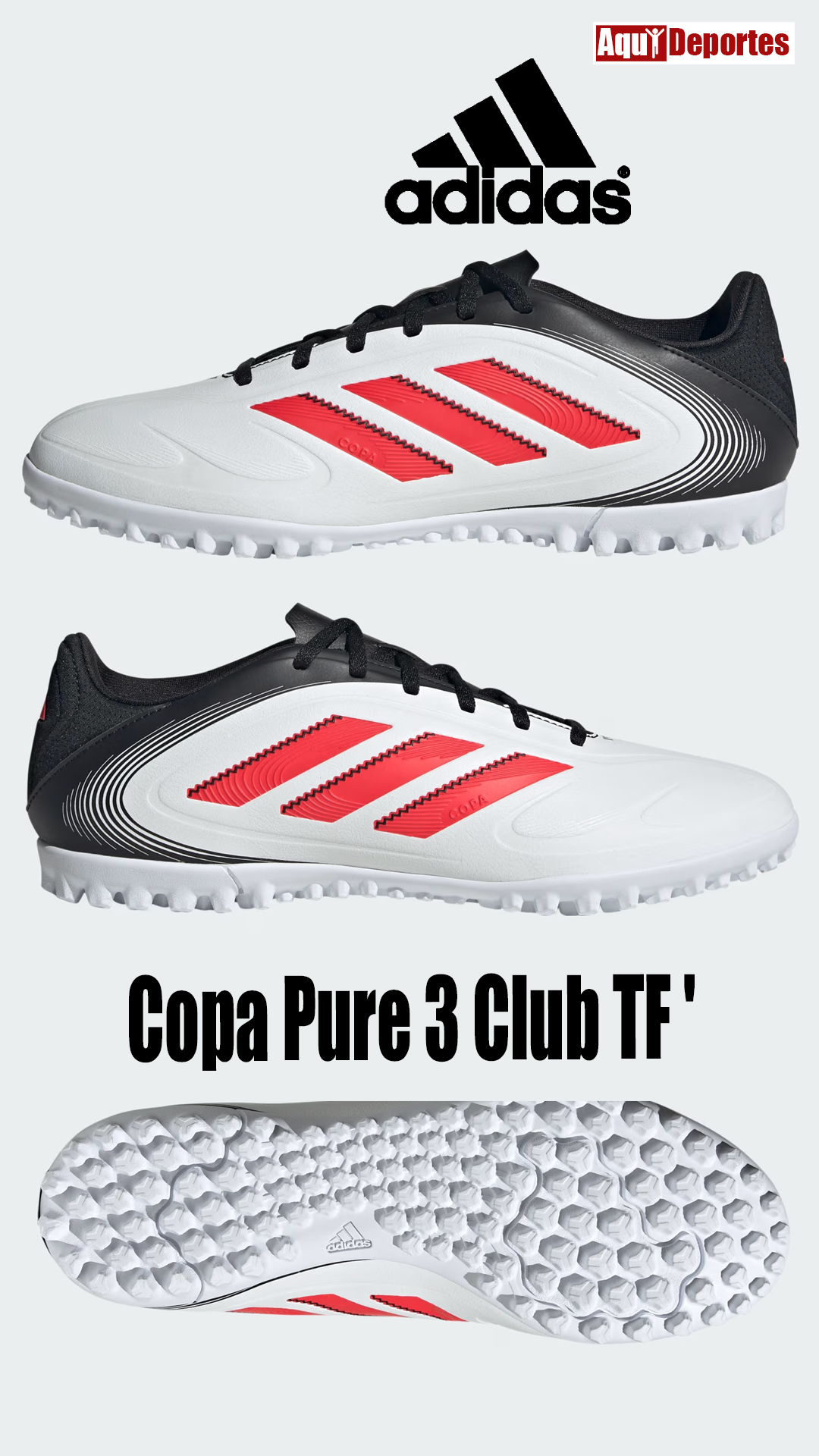 COPA PURE III CLUB TF