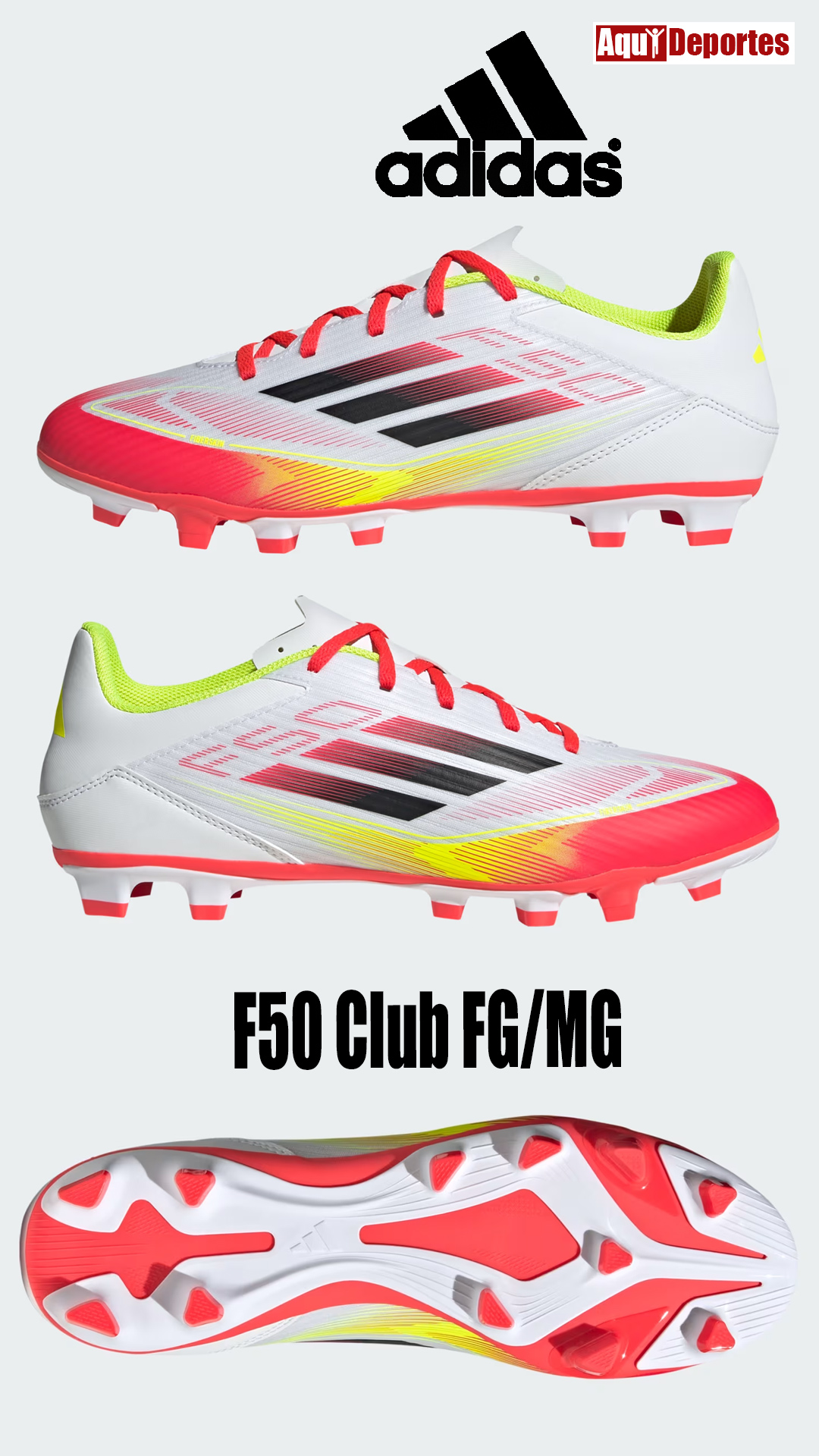 F50 CLUB FG/MG