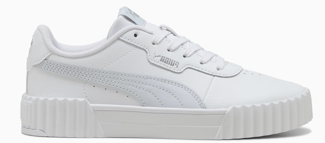 CARINA 3.0