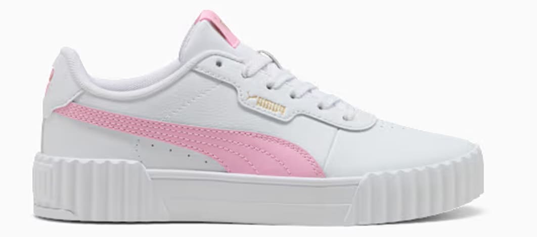 CARINA 3.0